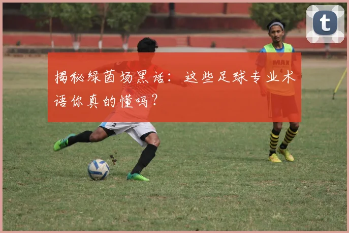 揭秘绿茵场黑话:这些足球专业术语你真的懂吗?